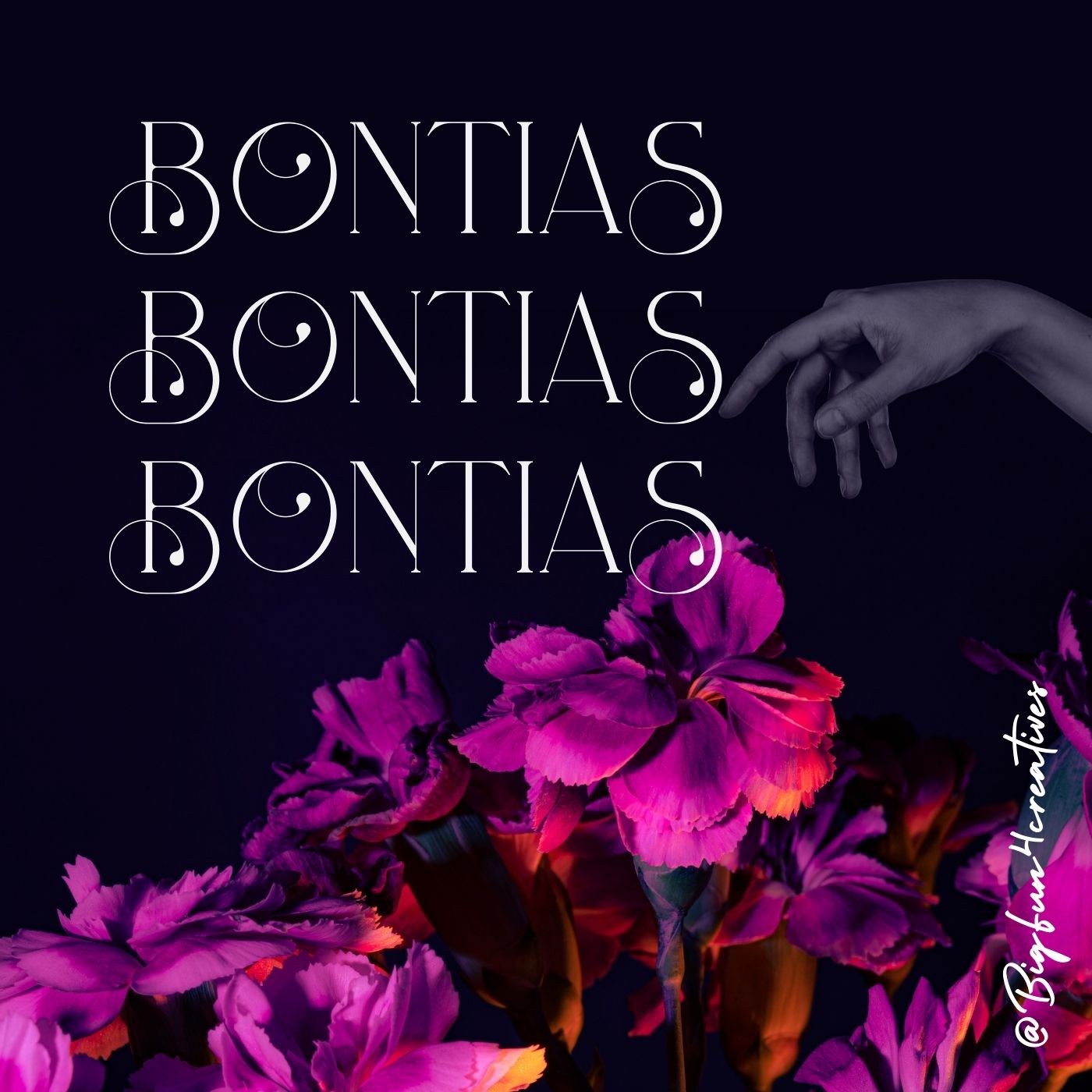 Bonitias Lettering Stencils
